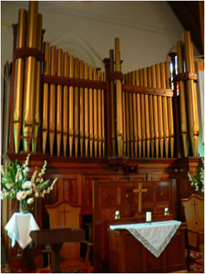 Organ